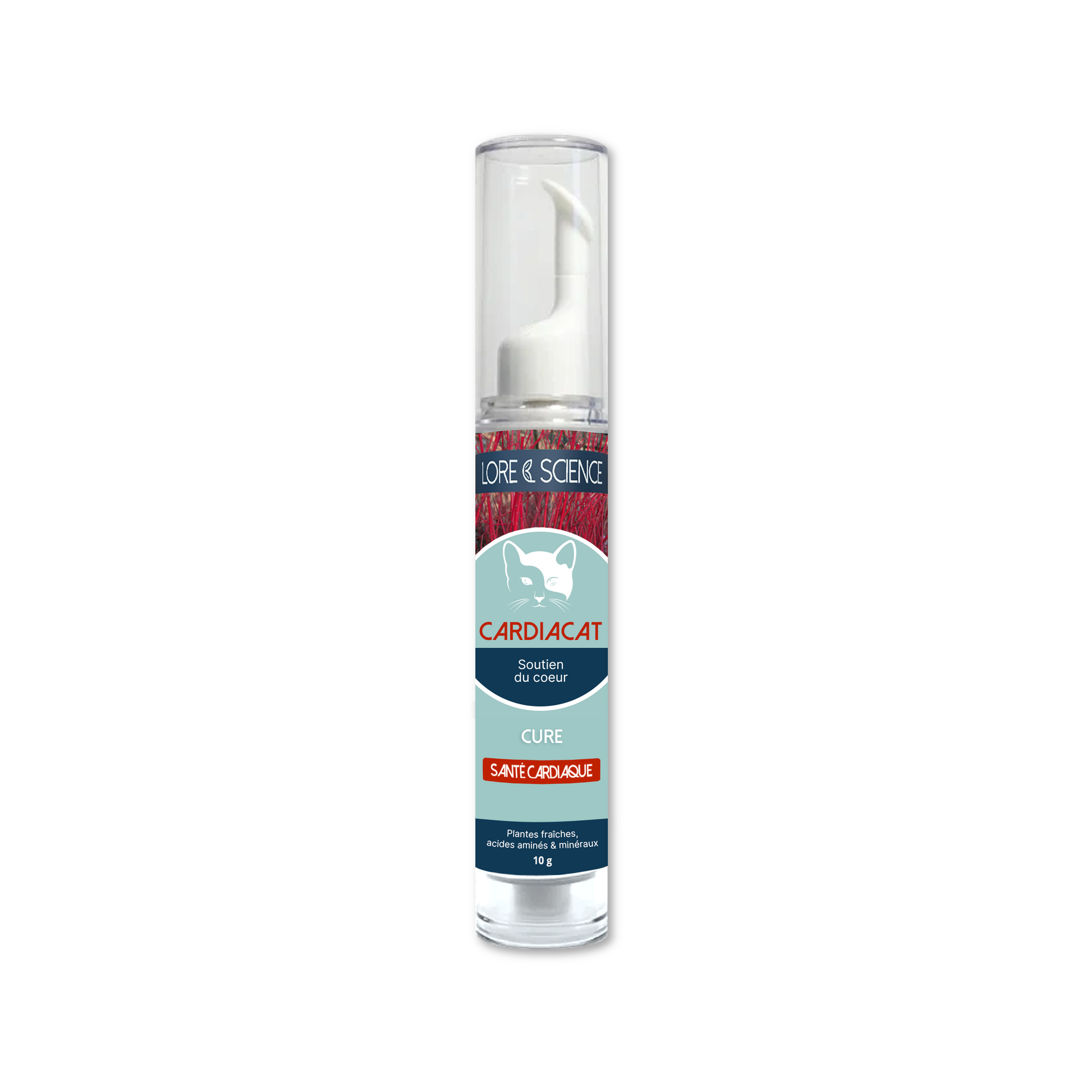 Integratore per gatto cardiaco