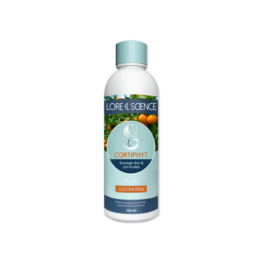 Corthiphyt - Back and neck support