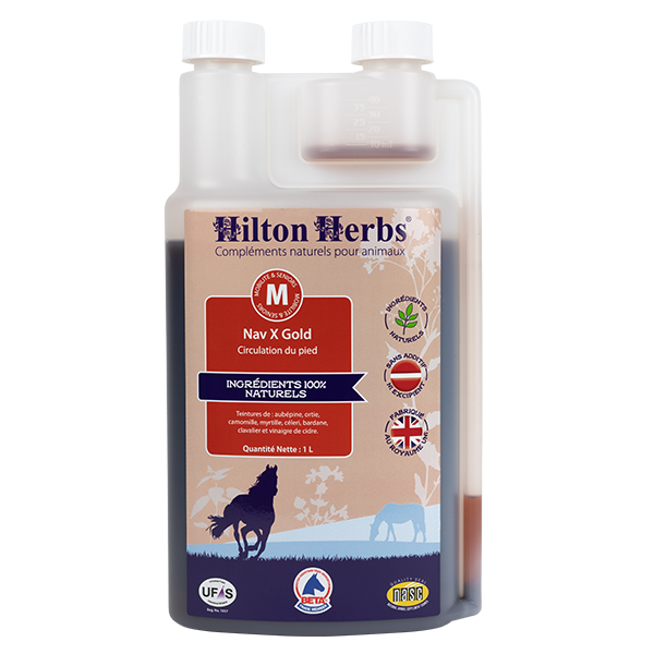 cavallo laminate e navicolite