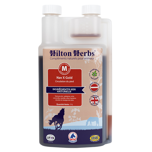 cavallo laminate e navicolite