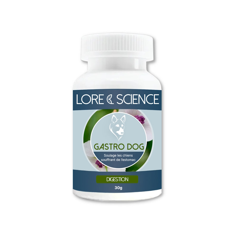 Integratore cane stomaco