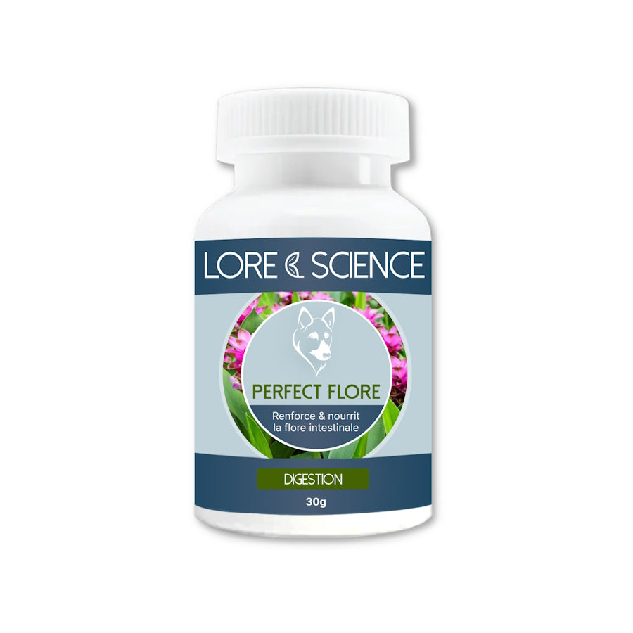 Flora intestinale cane integratore