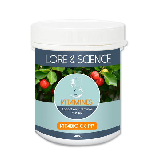 vitamin c e pp per cavalli