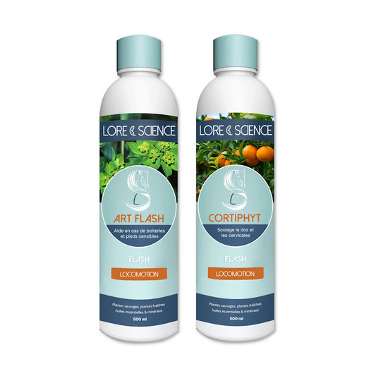 Horse competition pack